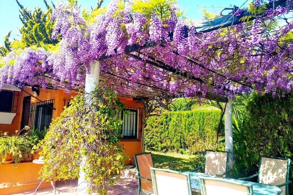 Villa Torrenueva Málaga Exteriör bild