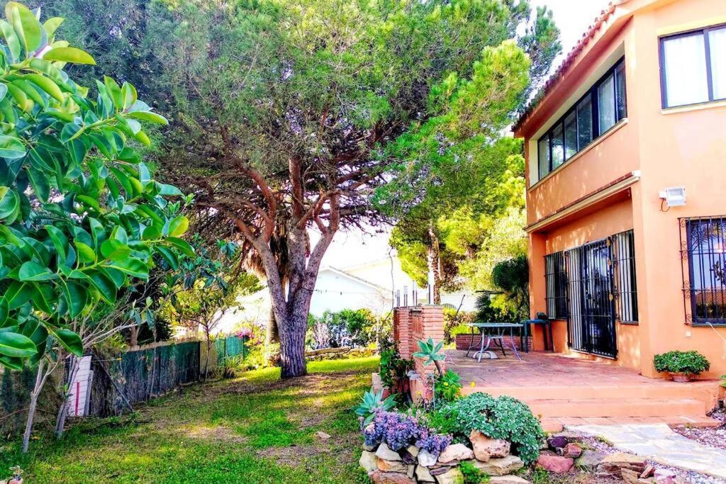 Villa Torrenueva Málaga Exteriör bild